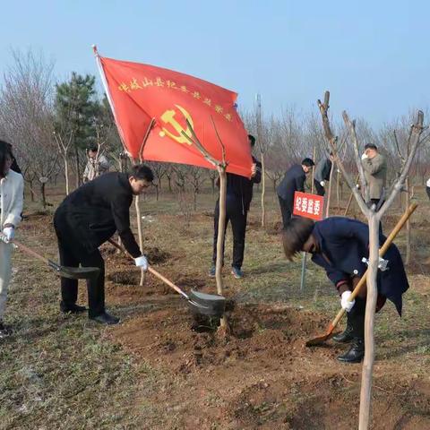 全民植绿四十载 绘就宝鸡高颜值