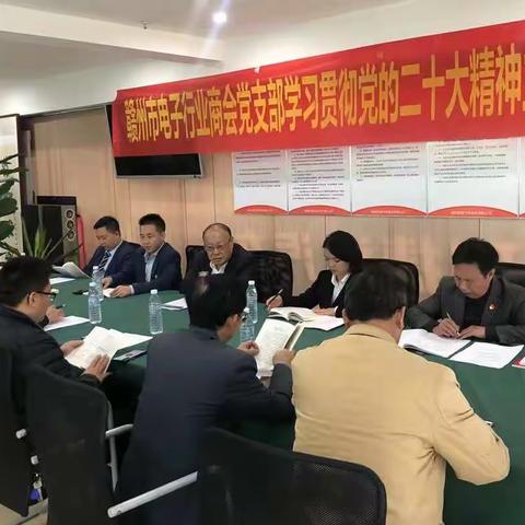 赣州市电子行业商会党支部学习宣传贯彻党的二十大精神主题党日活动