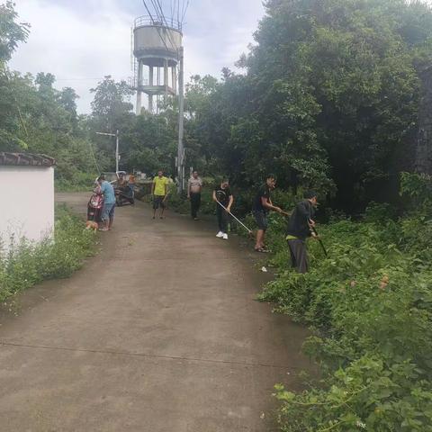 陈坊村二队人居环境卫生整治