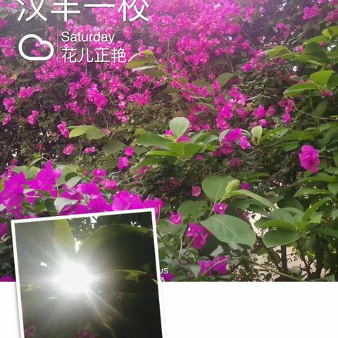 依托文本语言 提高表达能力——汉丰一校语文大组教研纪实