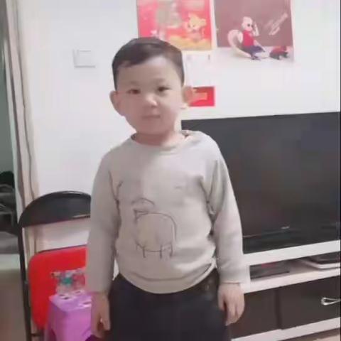 王家山镇幼儿园小二班学习记录