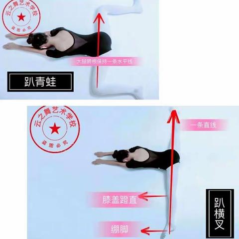寒假作业