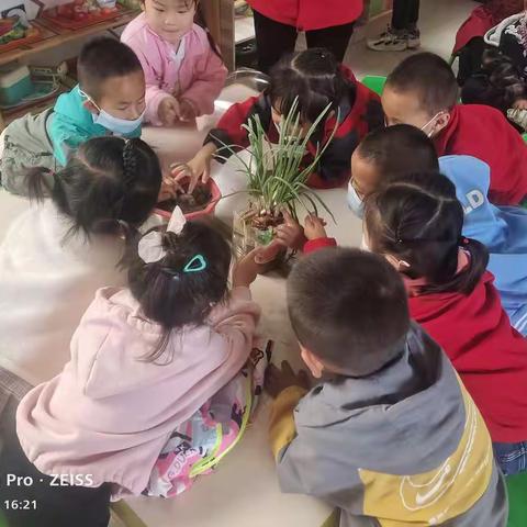 实验幼儿园小一班《植物观察🌵》