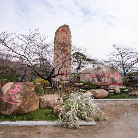 2021.2.27磨山樱园风景区