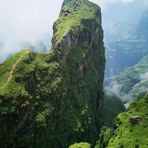 大山包景色宜人〈二〉2018年7月15一16日