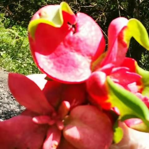 2018年5月19日头行梁子周六活动