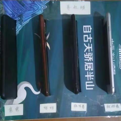 张芩箐的养机场