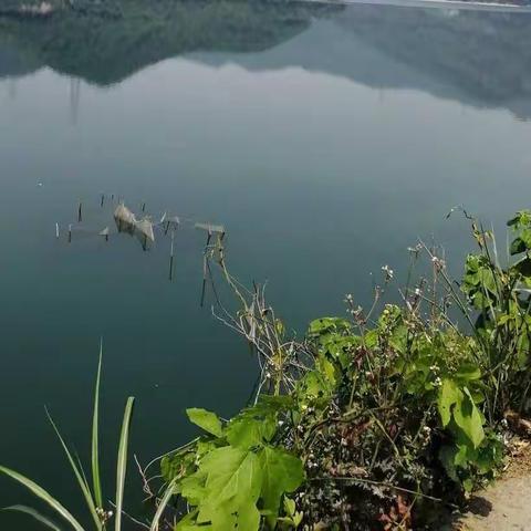 与同班战友回军营聚海宁