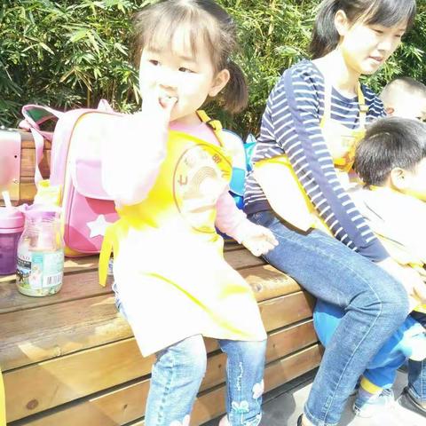 【七彩虹🌈幼儿园】小班春游集