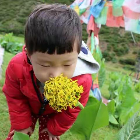 初游云南（壹）