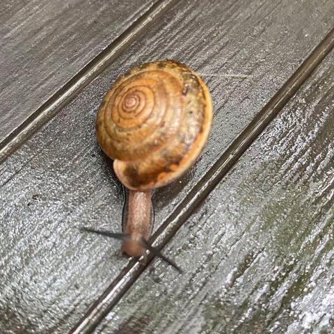 团结守望 未来可期——张店九中初四物理备课组暑期工作纪实