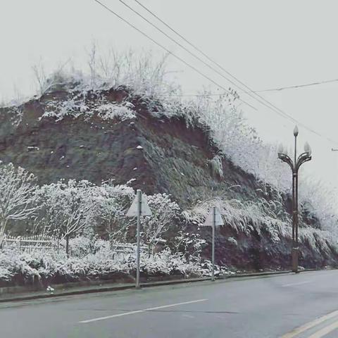 乡村的雪景