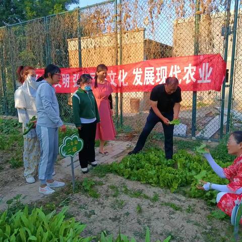 大激店镇江城西队学校蔬菜种植成人教育活动总结