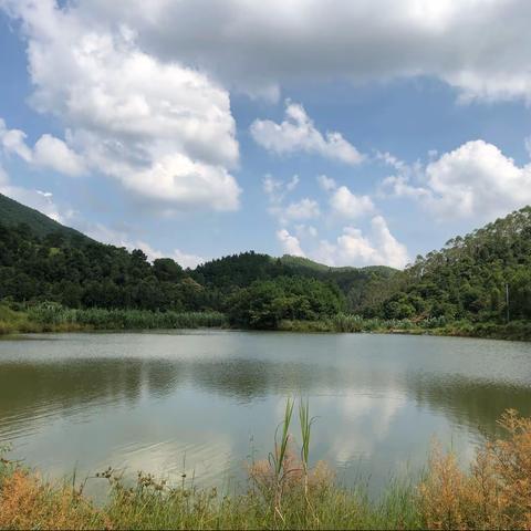 秋风起（在防城区周边爬山涉水）