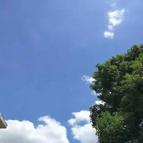 安于此生的美篇