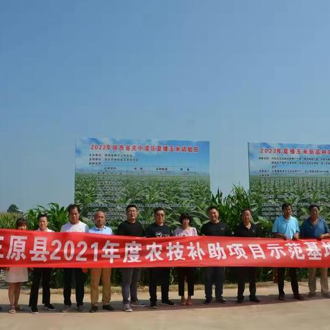 改革创新 典型引领   提质增效 砥砺前行