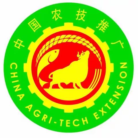 农业农村部科技教育司来三原调研基层农技推广工作