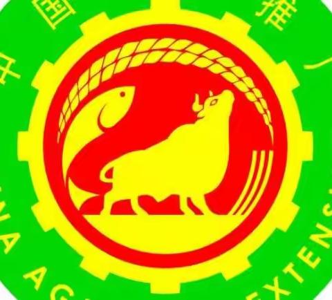 发放农技推广补助         助力科技壮苗行动