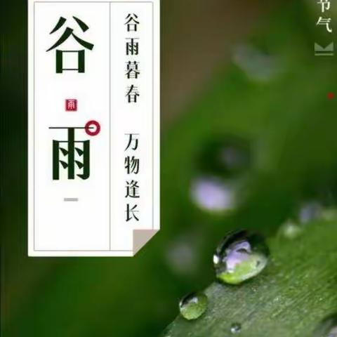 “历”久弥坚 “史”海钩沉——大学区同盟体线上历史学科教研活动