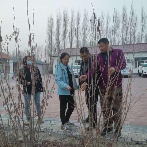赤峰市林业科学研究院送科技下乡指导台河林场开展文冠果丰产增收