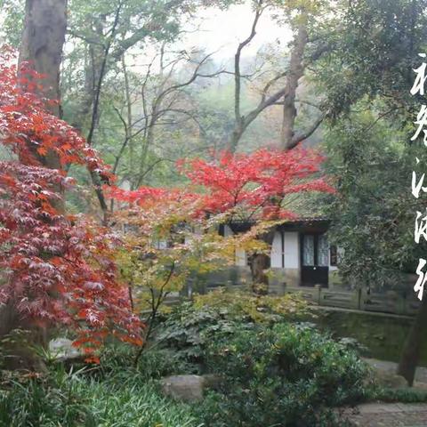 初冬江浙行