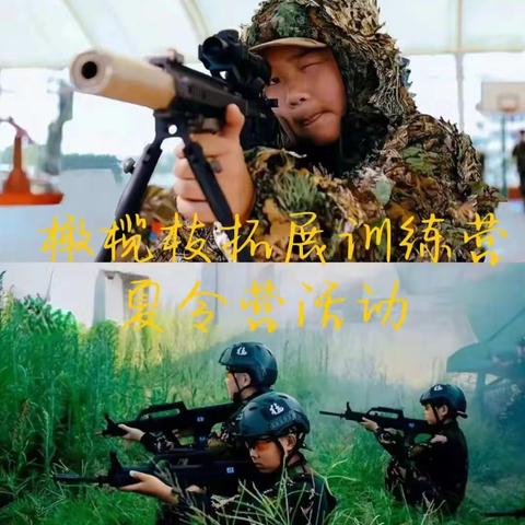 橄榄枝拓展训练营之重拳出击（副本）