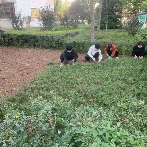 绿景悦人心，补栽正当时