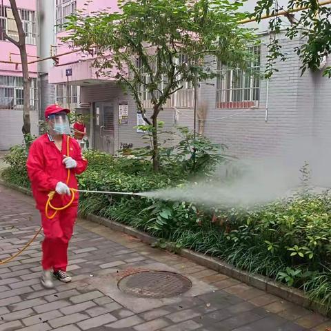 全区消杀除“四害”，改善环境促健康