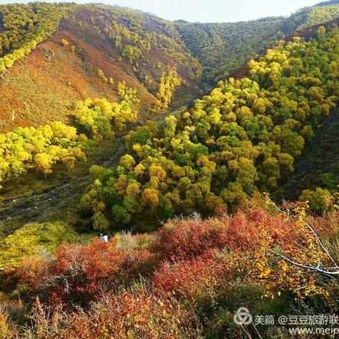 梦之队户外10月醉美聚宝山一日休闲游