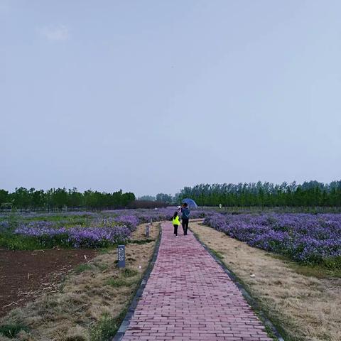 游植物园