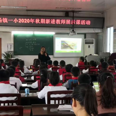 立足校情学情，务实教学教研——巡场一小新进教师展示课活动(三)