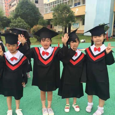 孩子在幼儿园到底学什么