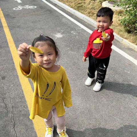 小三班～落叶的奇妙之旅