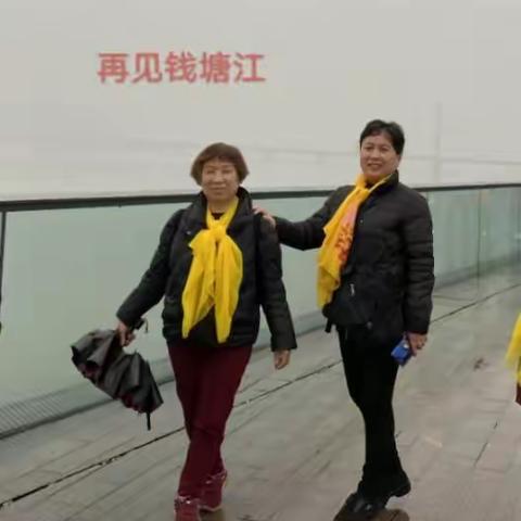 忆江南五日游的美山美水美景！