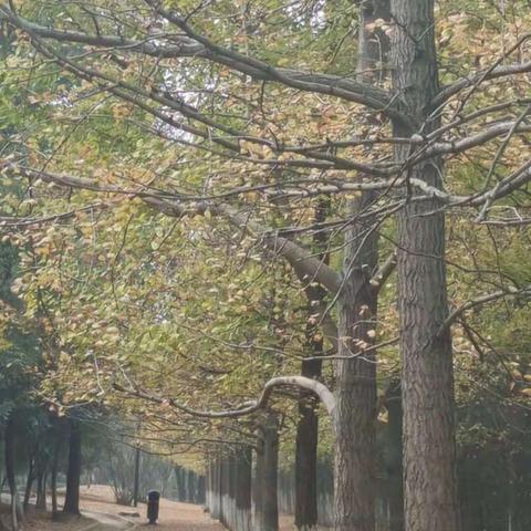 欣怡欢乐的美篇，忆二零二一年秋，这年是秋高气爽，日新月异的日子，姐妹们一起去长江沿岸来嗨！！！