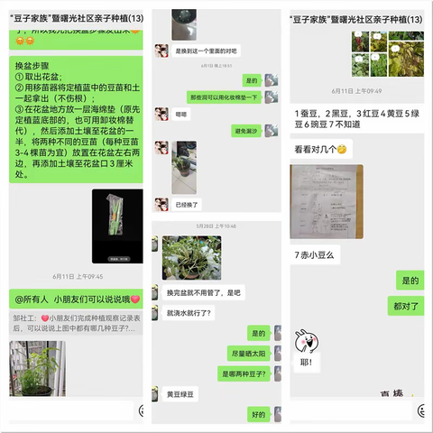 “豆子家族”暨曙光社区亲子居家种植小组