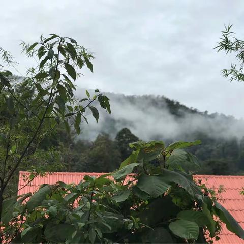 风景绮丽、以山傍水，景色宜人、丰富多彩游泰国《七》