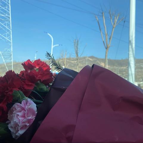追梦新时代，巾帼绽芳华