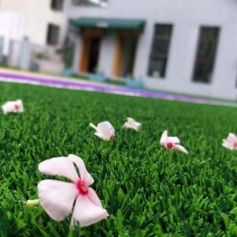 心媛—我们在成长