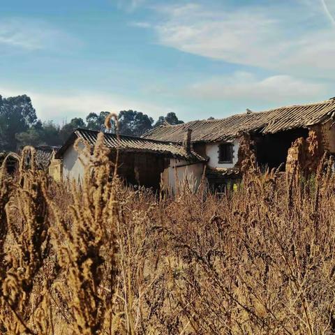 2022年1月30日卧龙古渔村（手机随拍）
