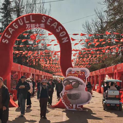 2025.02.01大年初四的昆明福保半岛(福保村)