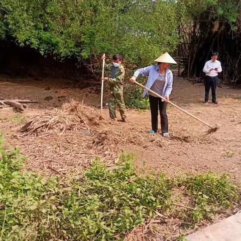 光村村委会开展人居环境卫生整治活动