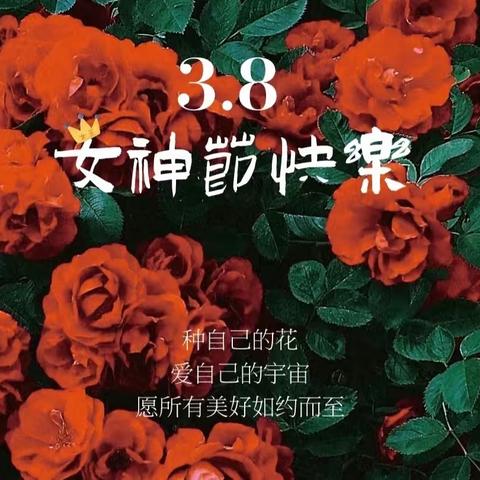 三八女神节—蝴蝶团扇🦋