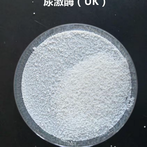 最先进的尿激酶提取设备提取利润现在能达到多少?[玖东科技厂家说]