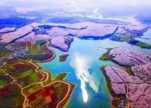 心梦园天才英语培训班