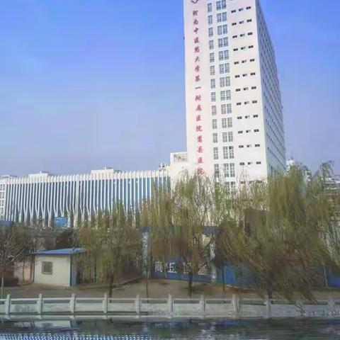 看病不出门，嵩县人自己家门口的“三甲医院”！