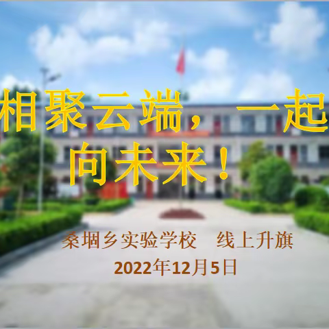 桑堌乡实验学校"相聚云端，一起向未来"主题升旗仪式