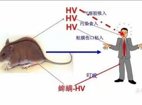 五星街道中心校关于做好冬春季传染病防控工作告家长书