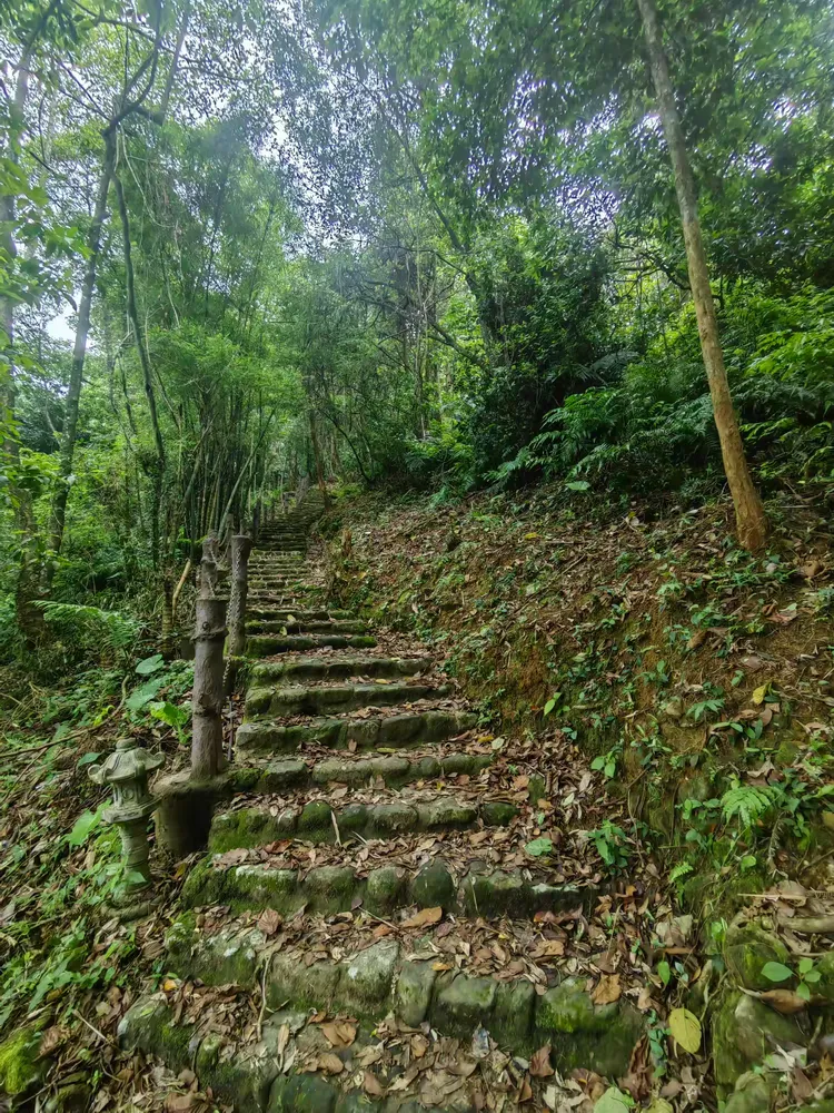 惠州罗浮山酥醪观:千年道教圣地