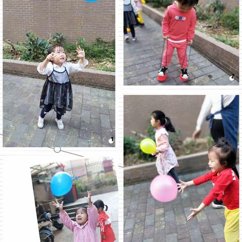 月亮班十一周美篇